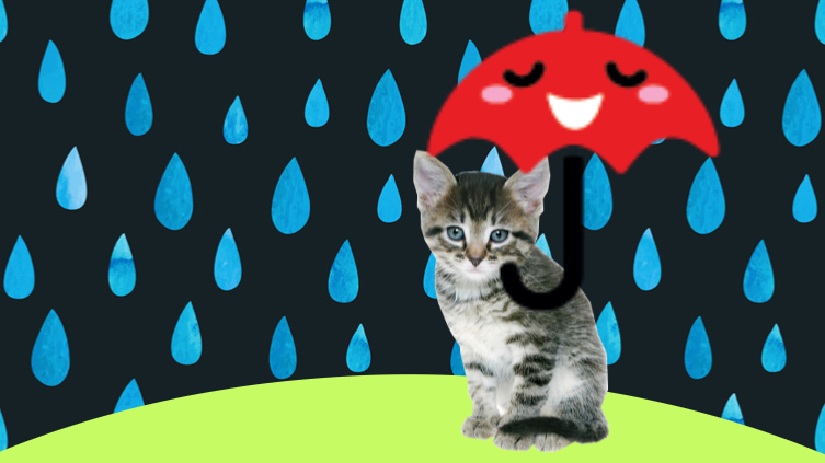 Everyone wants happiness, no one wants pain but you can't have a rainbow without a little rain! and kittens