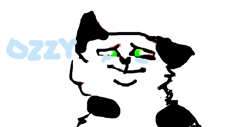 My cat Ozzy