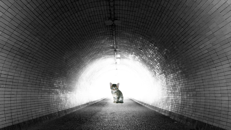 The light at the end of the tunnel...
