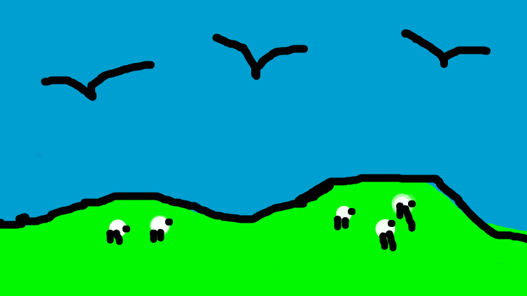 field with sheep