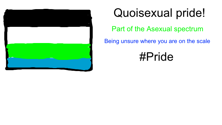 Quoisexual pride