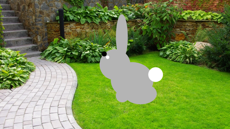 my rabbit xx