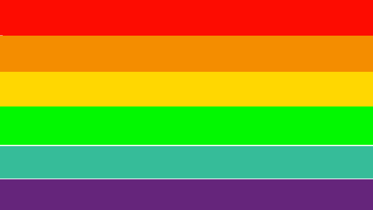The LGBTQ+ flag <3