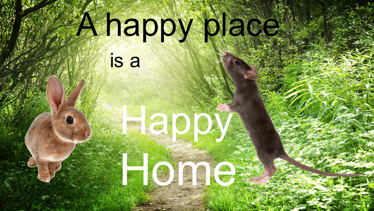 happy home <3