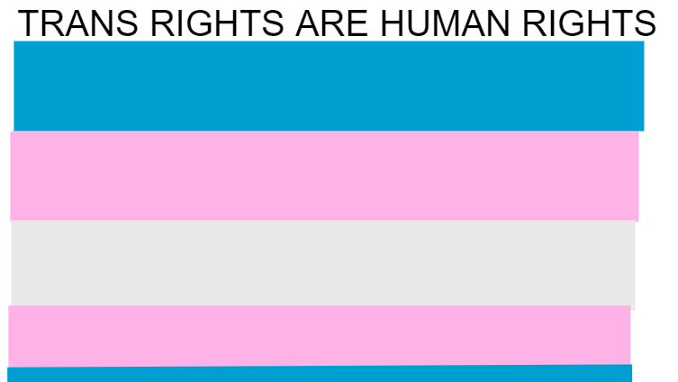 trans rights are human rights <3