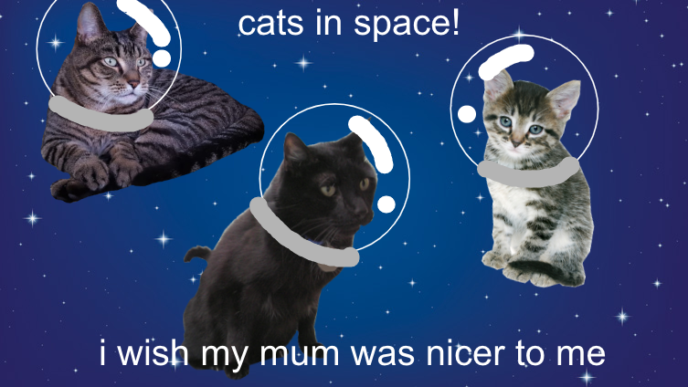 cats in space ! meow !